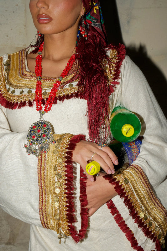 Modèle ASNA